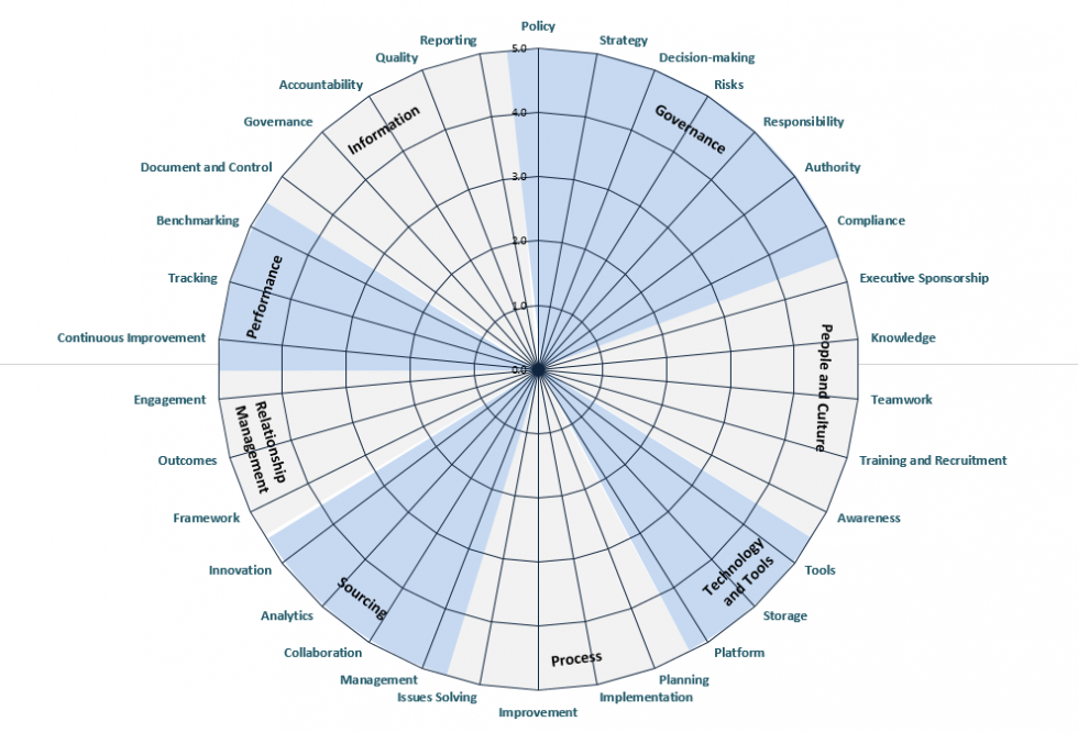 Radar graphs containing the capability domains of business